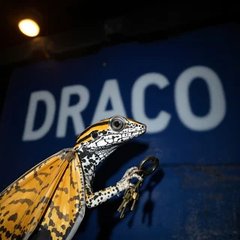 Draco