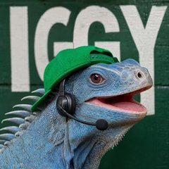 Iggy