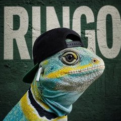 Ringo