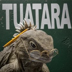 Tuatara